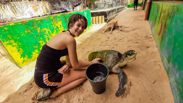 Turtle Conservation: Sri Lanka